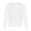 Customizable Unisex Crewneck Sweatshirt - Printwell Custom Tees